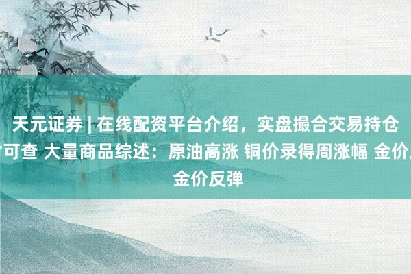 天元证券 | 在线配资平台介绍,实盘撮合交易持仓实时可查 大量商品综述:原油高涨 铜价录得周涨幅 金价反弹