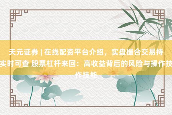 天元证券 | 在线配资平台介绍,实盘撮合交易持仓实时可查 股票杠杆来回:高收益背后的风险与操作技能
