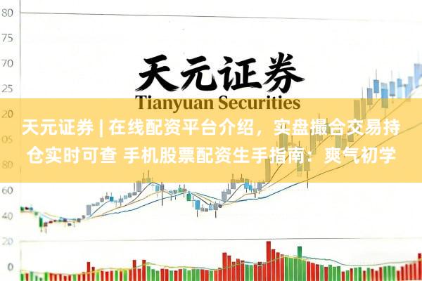 天元证券 | 在线配资平台介绍，实盘撮合交易持仓实时可查 手机股票配资生手指南：爽气初学