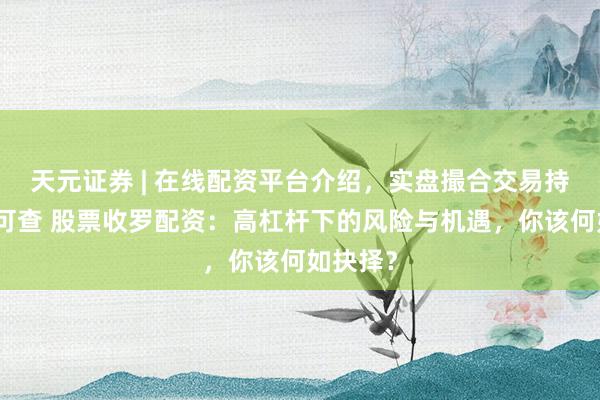 天元证券 | 在线配资平台介绍，实盘撮合交易持仓实时可查 股票收罗配资：高杠杆下的风险与机遇，你该何如抉择？