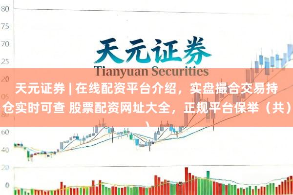天元证券 | 在线配资平台介绍，实盘撮合交易持仓实时可查 股票配资网址大全，正规平台保举（共）