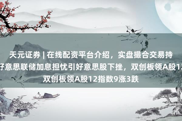 天元证券 | 在线配资平台介绍，实盘撮合交易持仓实时可查 好意思联储加息担忧引好意思股下挫，双创板领A股12指数9涨3跌