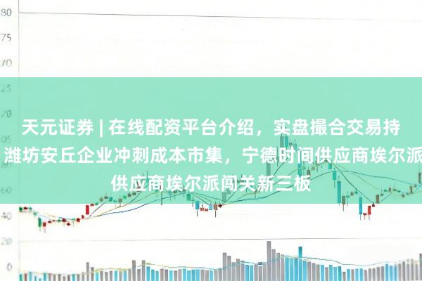 天元证券 | 在线配资平台介绍，实盘撮合交易持仓实时可查 潍坊安丘企业冲刺成本市集，宁德时间供应商埃尔派闯关新三板