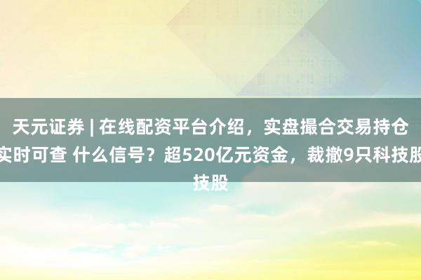 天元证券 | 在线配资平台介绍，实盘撮合交易持仓实时可查 什么信号？超520亿元资金，裁撤9只科技股