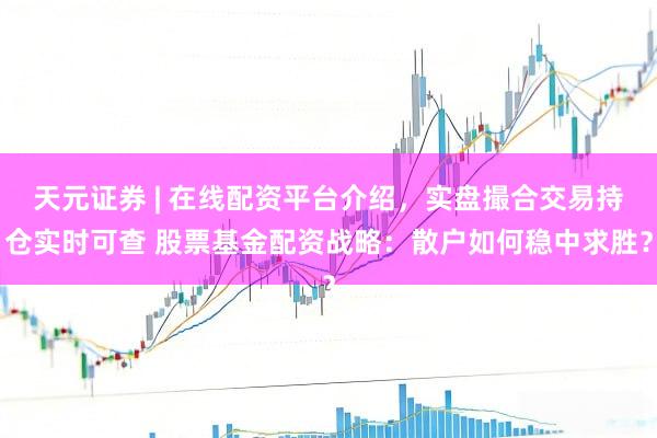 天元证券 | 在线配资平台介绍，实盘撮合交易持仓实时可查 股票基金配资战略：散户如何稳中求胜？