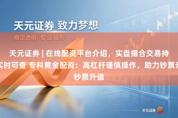 天元证券 | 在线配资平台介绍，实盘撮合交易持仓实时可查 专科黄金配资：高杠杆谨慎操作，助力钞票升值