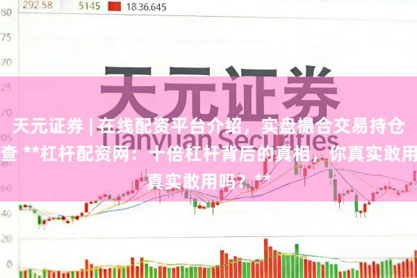 天元证券 | 在线配资平台介绍，实盘撮合交易持仓实时可查 **杠杆配资网：十倍杠杆背后的真相，你真实敢用吗？**