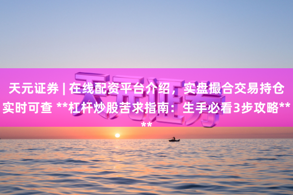 天元证券 | 在线配资平台介绍，实盘撮合交易持仓实时可查 **杠杆炒股苦求指南：生手必看3步攻略**